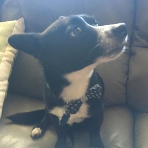 Meet your Posher, Maria